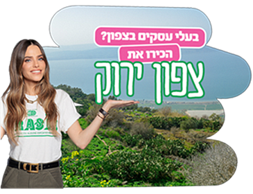 סיוע לעסקים בצפון